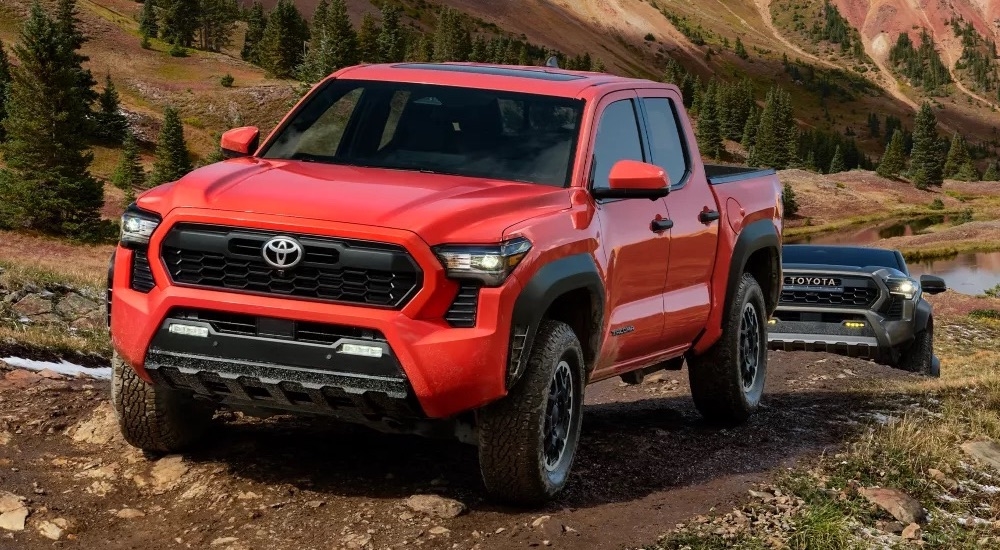 A red 2024 Toyota Tacoma TRD Off-Road driving off-road up a hill.