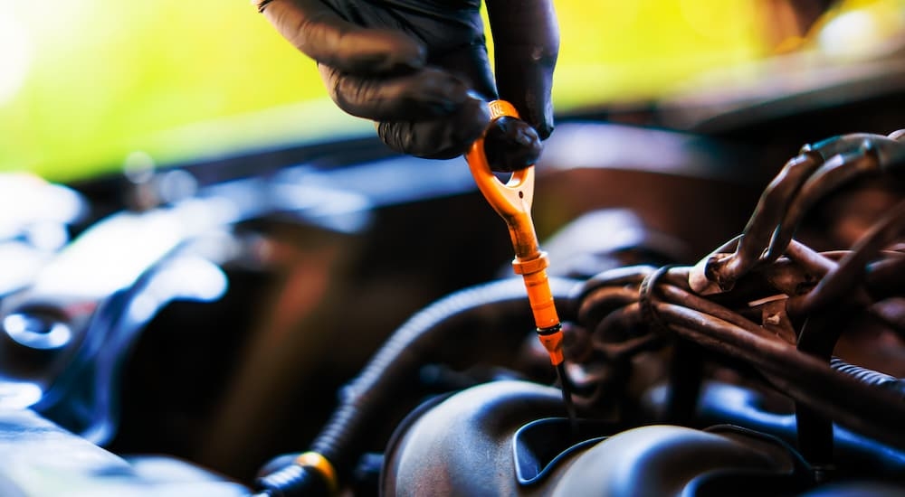 A mechanic checking engine oil with a dipstick.