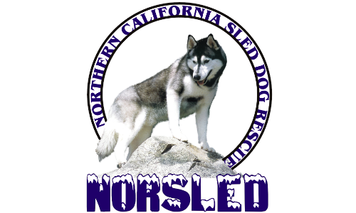 Northern CA Sled Dog Rescue (Norsled)