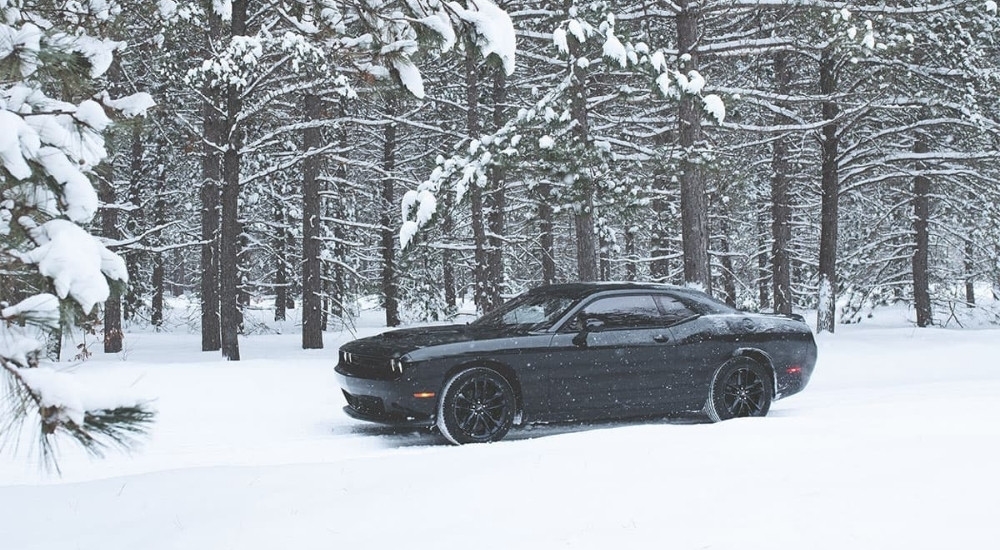 A black 2023 Dodge Challenger is shown on a snowy trail.