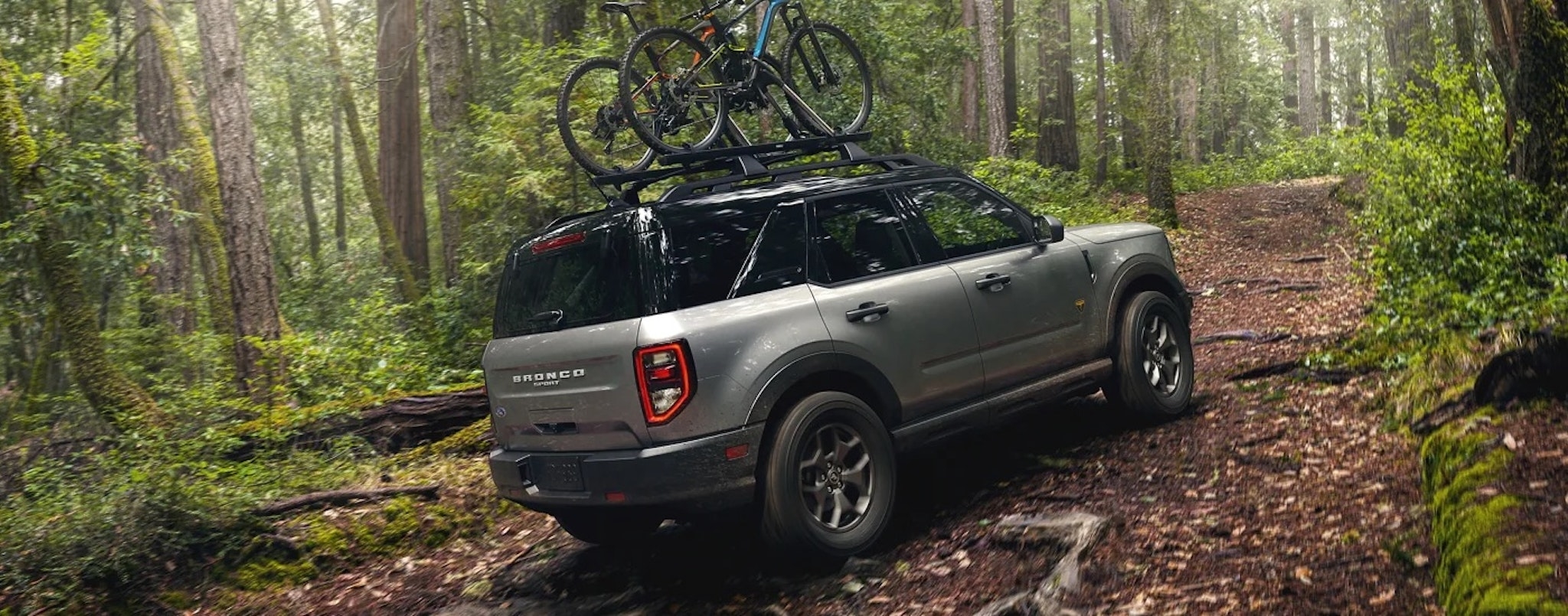 A grey 2023 Ford Bronco Sport is shown off-roading on a forest trail.