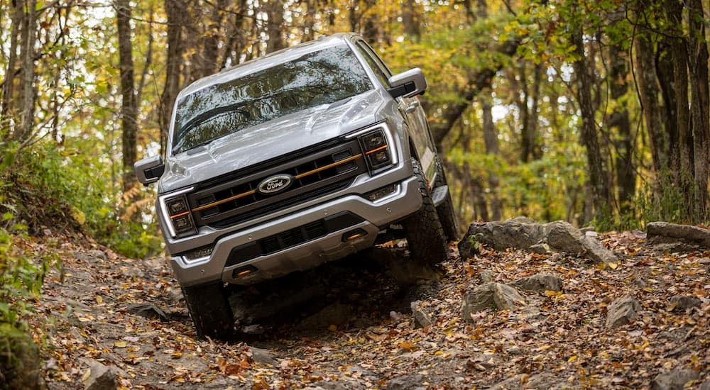 A silver 2021 Ford F-150 Tremor is shown from the front.