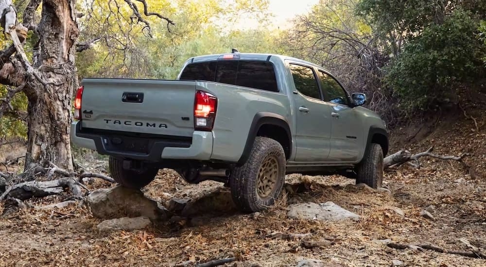 A grey 2022 Toyota Tacoma Trail is shown from the rear at an angle.