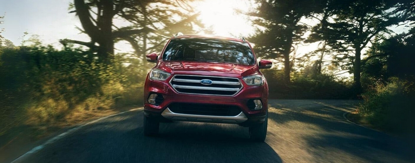 A red  2017 Ford Escape is shown driving on a tree-lined road.