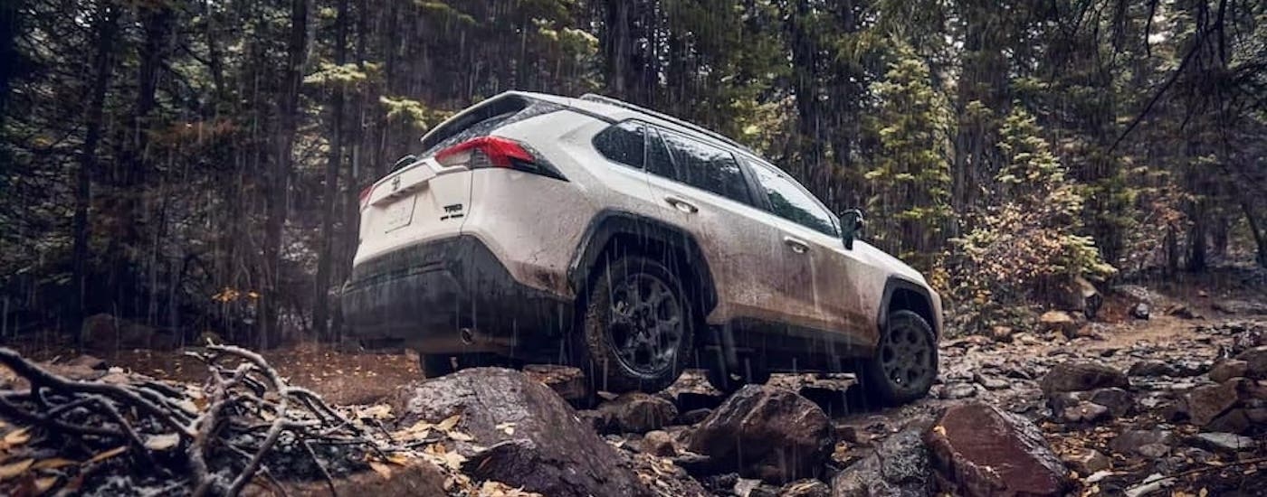 A white 2022 Toyota RAV4 is shown from the rear at an angle while off-road after leaving a dealer that has a Toyota RAV4 for sale.