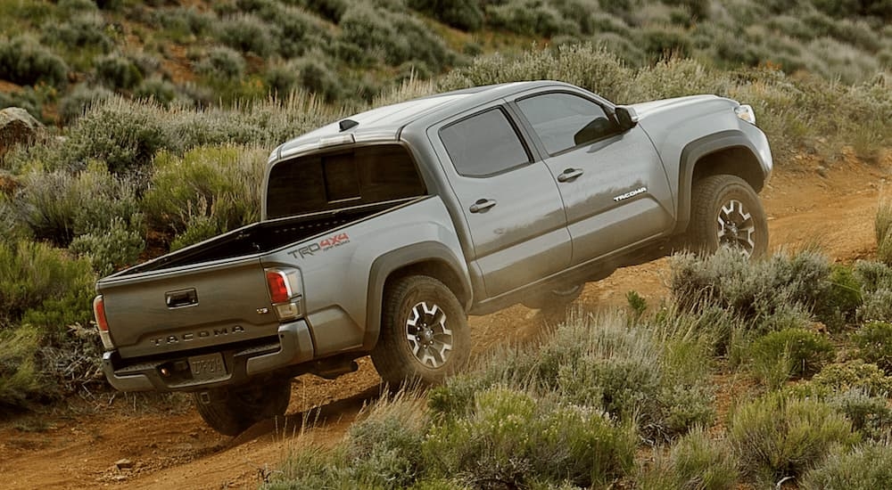 A grey 2023 Toyota Tacoma TRD is shown driving up a dusty path.