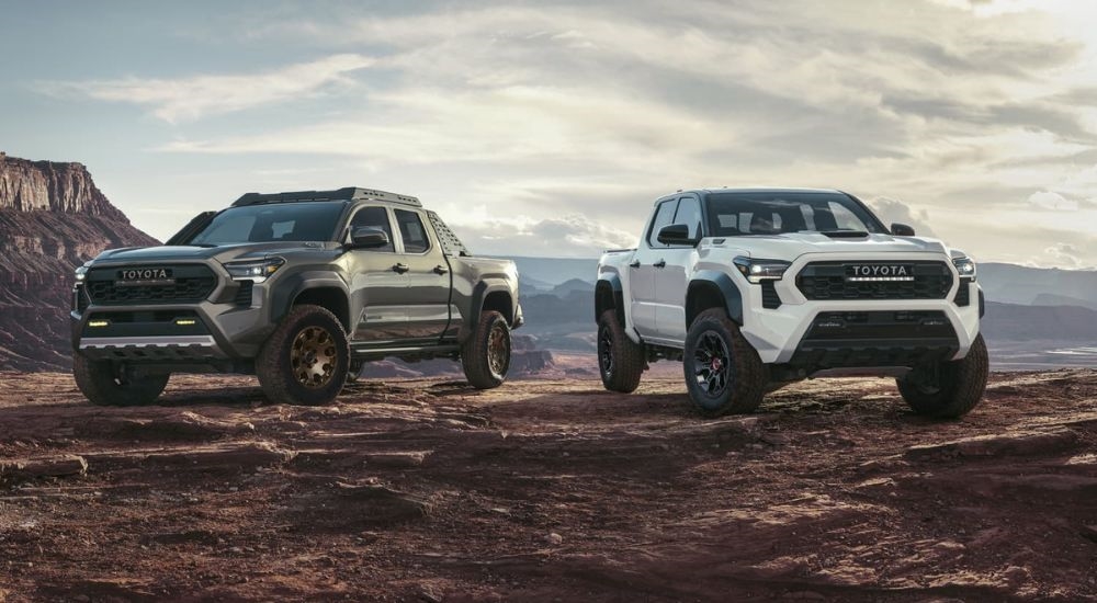 A green 2024 Toyota Tacoma Trailhunter and a white 2024 Toyota Tacoma TRD Pro are shown parked off-road.