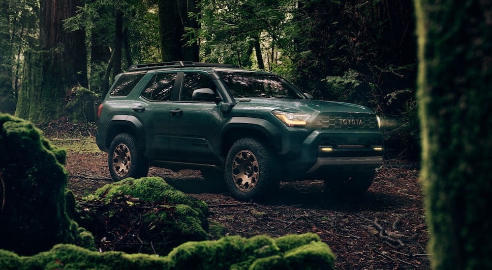 A green 2025 Toyota 4Runner Trailhunter parked in a forest.