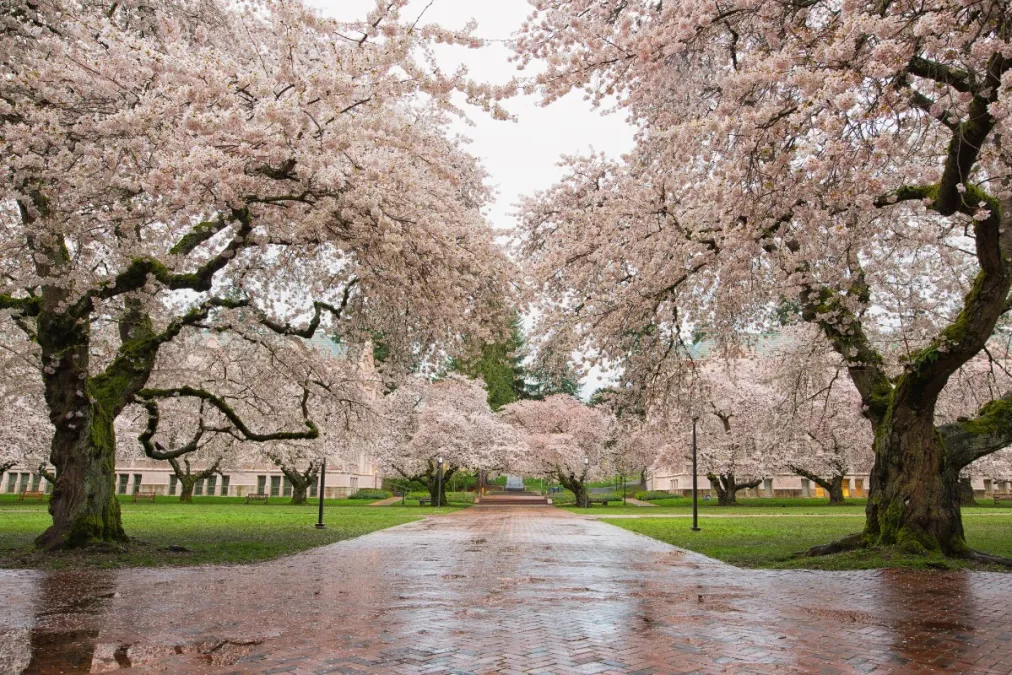 3 Spring Activities You Can Drive to Near Seattle, WA