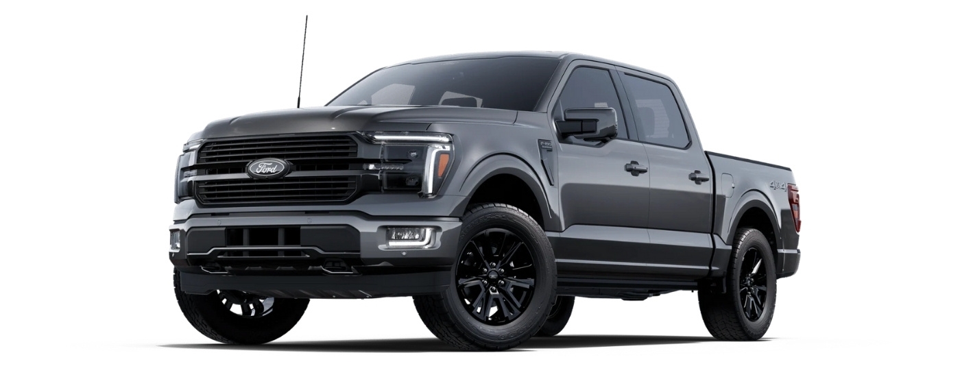 A grey 2025 Ford F-150 Platinum is angled left.