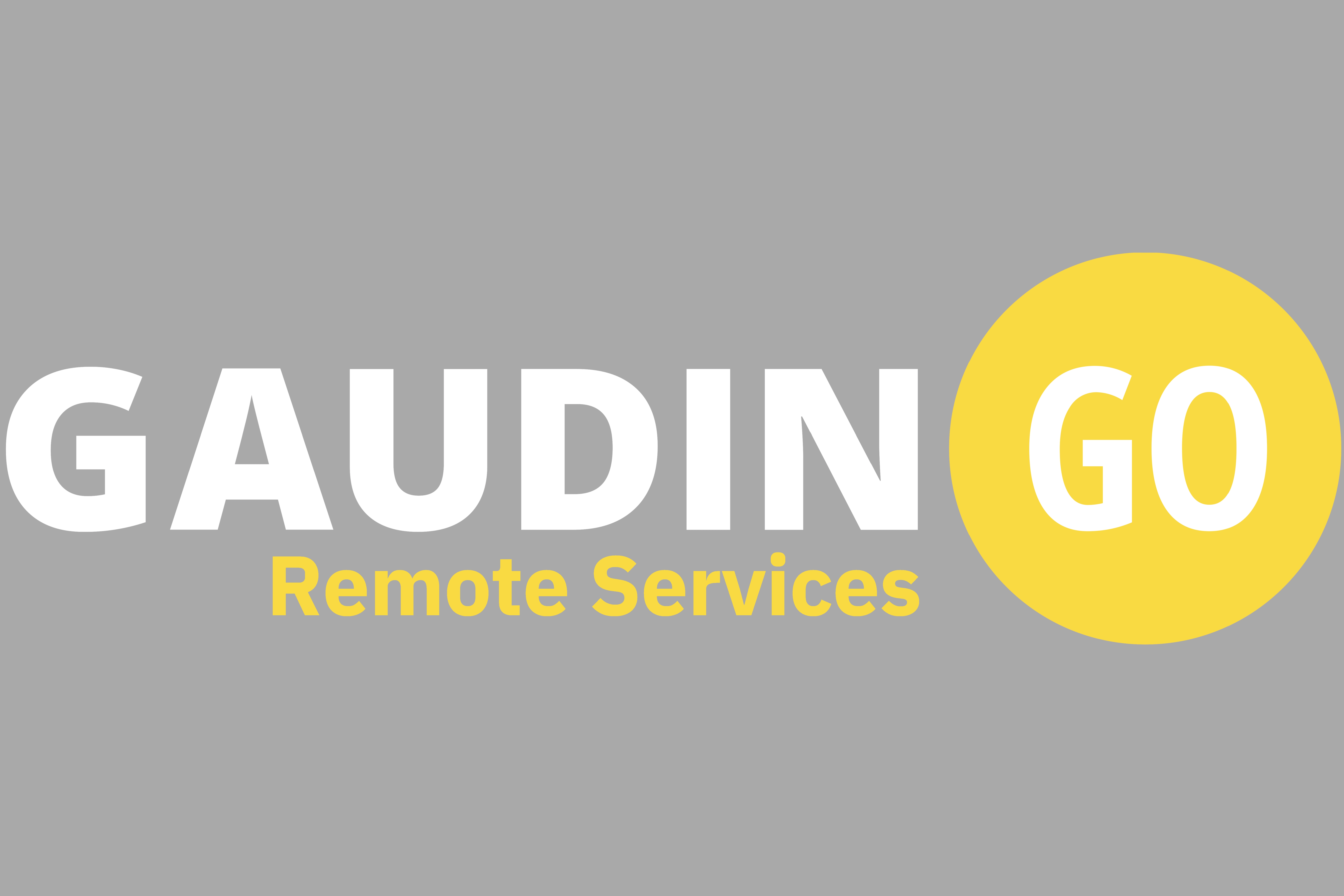 GaudinGo Remote Services