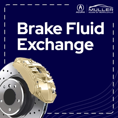 Brake Fluid Exchange