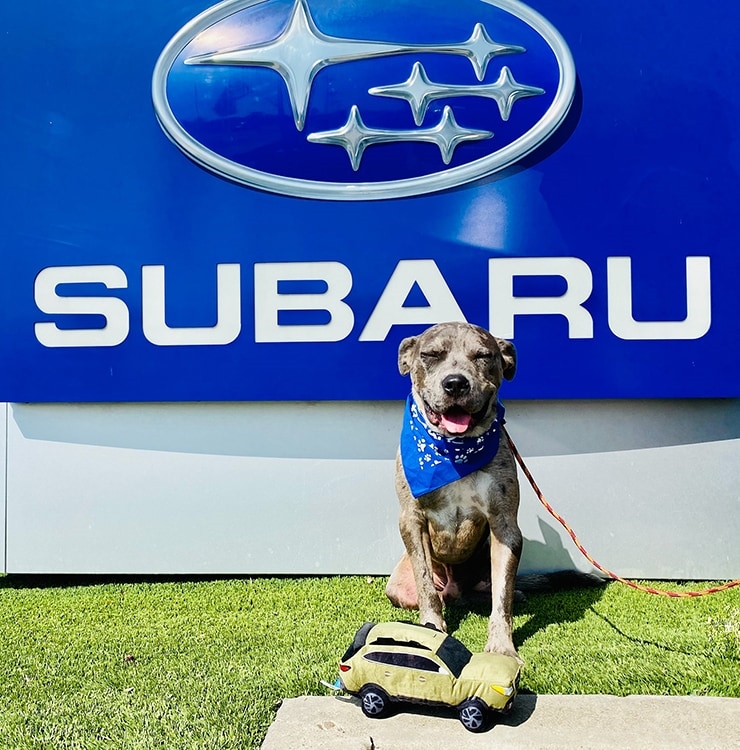 Frank's Irvine Subaru Lake Forest CA