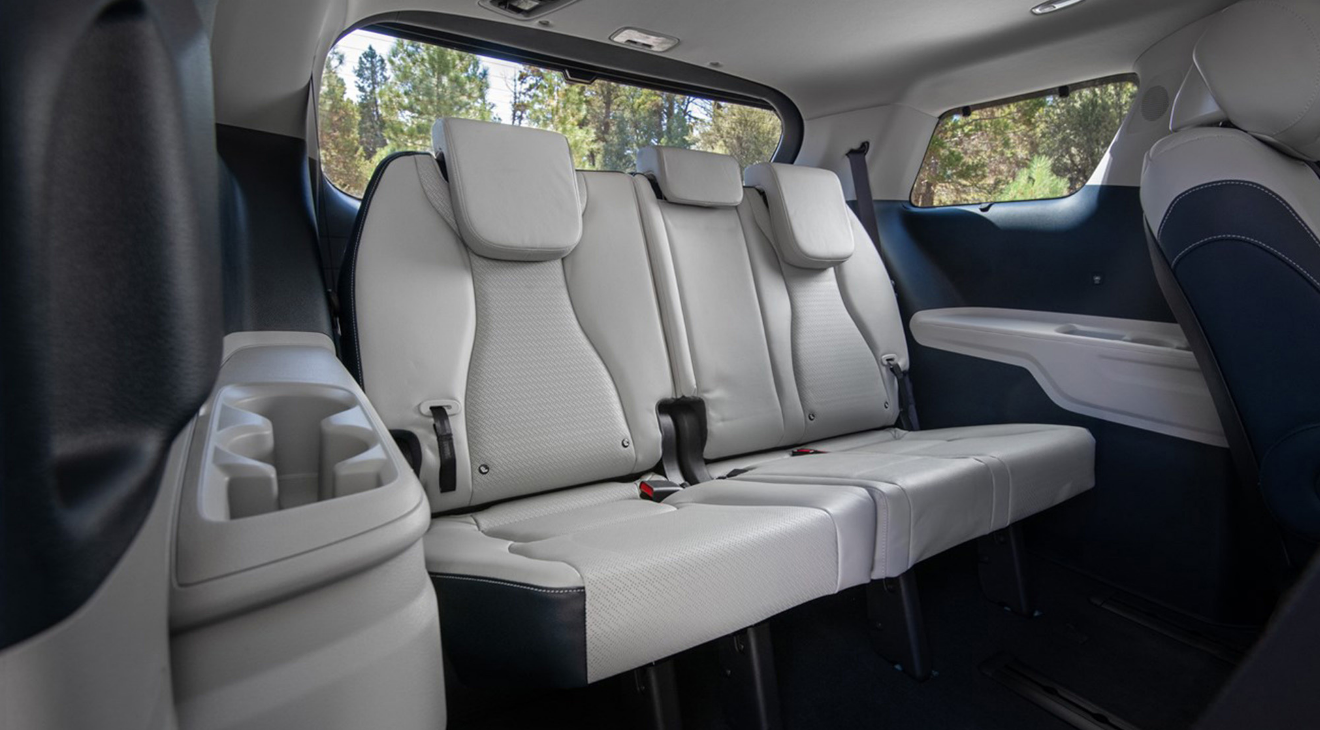 carnival hybrid Research