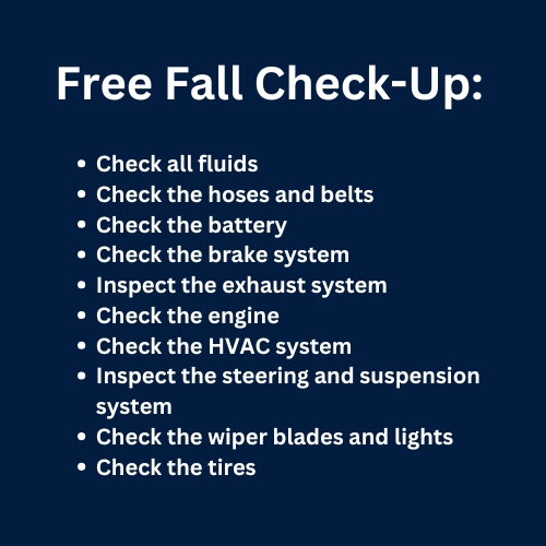 Free Fall Check-Up