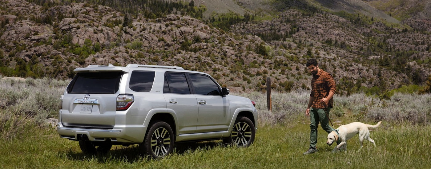 Rear view of a white 2024 Toyota 4Runner Limited parked in a field.