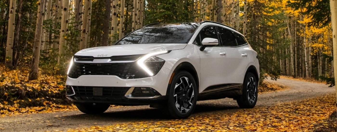 A white 2024 Kia Sportage driving in fall foliage.