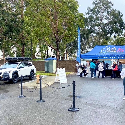 Frank's Irvine Subaru Lake Forest CA