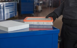 Engine Air & Cabin Filter