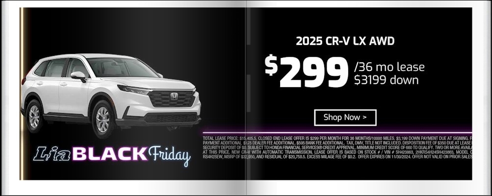 Lia Black Friday - Honda Williamsville