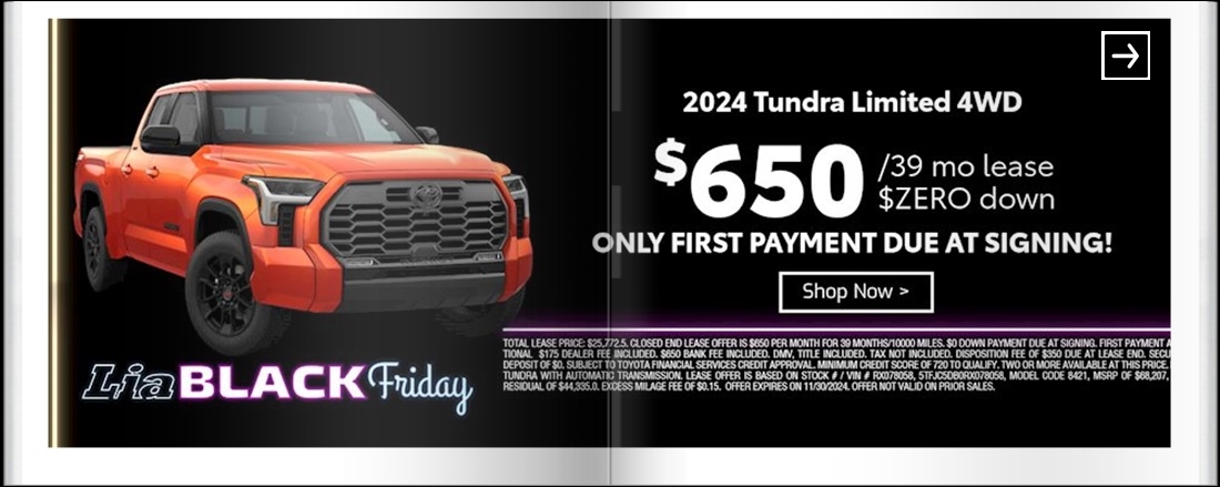 Lia Black Friday - Toyota Saratoga