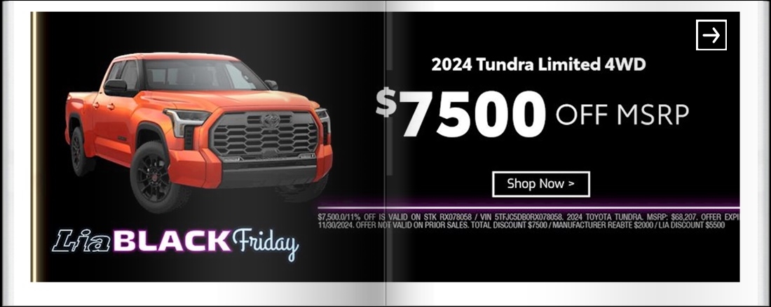 Lia Black Friday - Toyota Saratoga