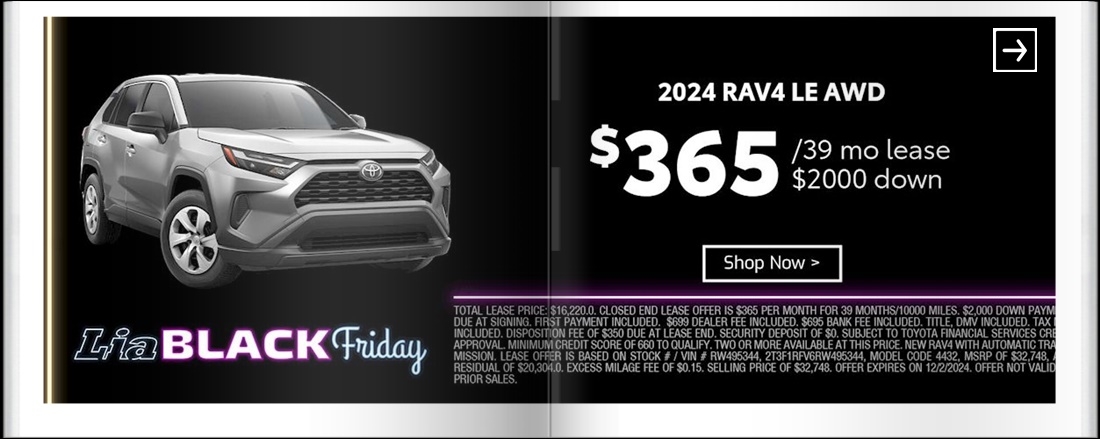 Lia Black Friday - Toyota Wilbraham