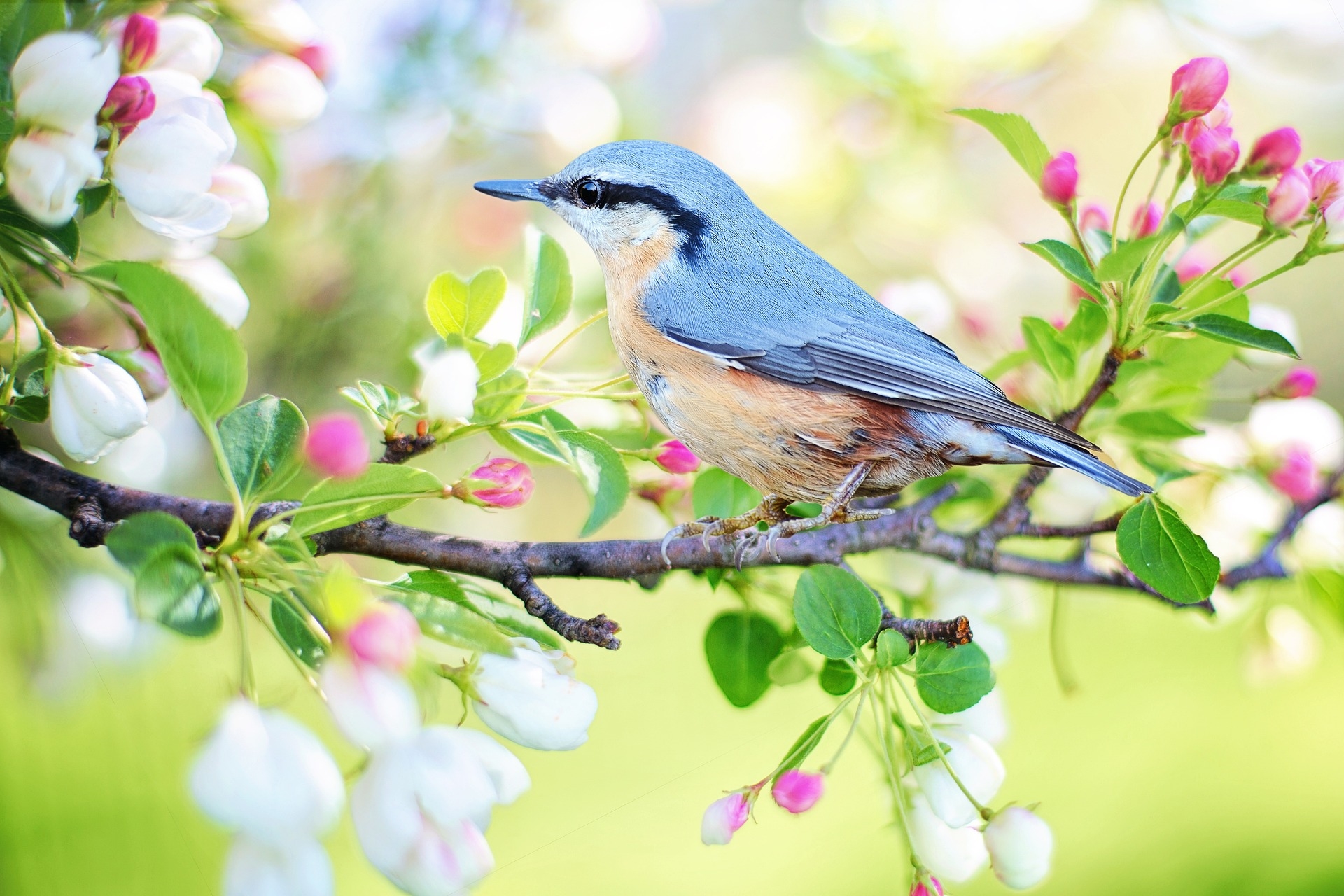 Spring Special
