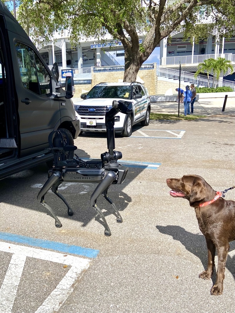 Robo Dog with Real Dog at GoldenFest 2024