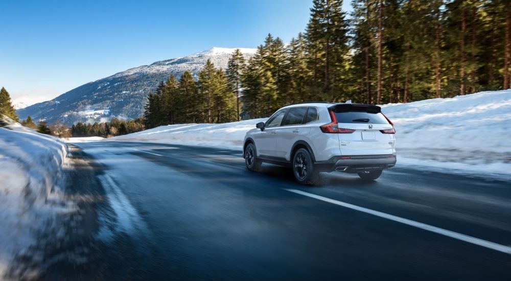 A popular used Honda for sale near North Bergen, a white 2023 Honda CR-V, is shown driving on a tree-lined road.