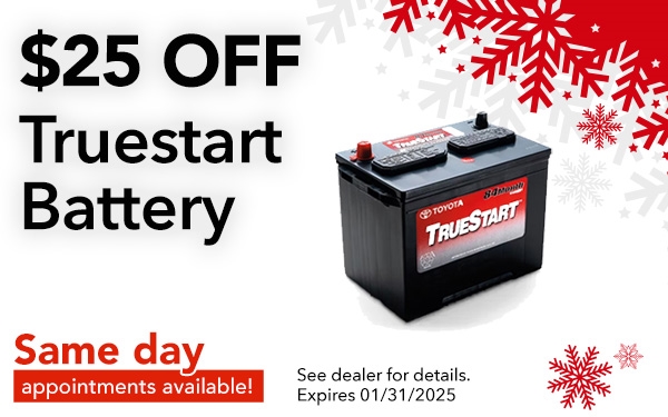 True Start Battery