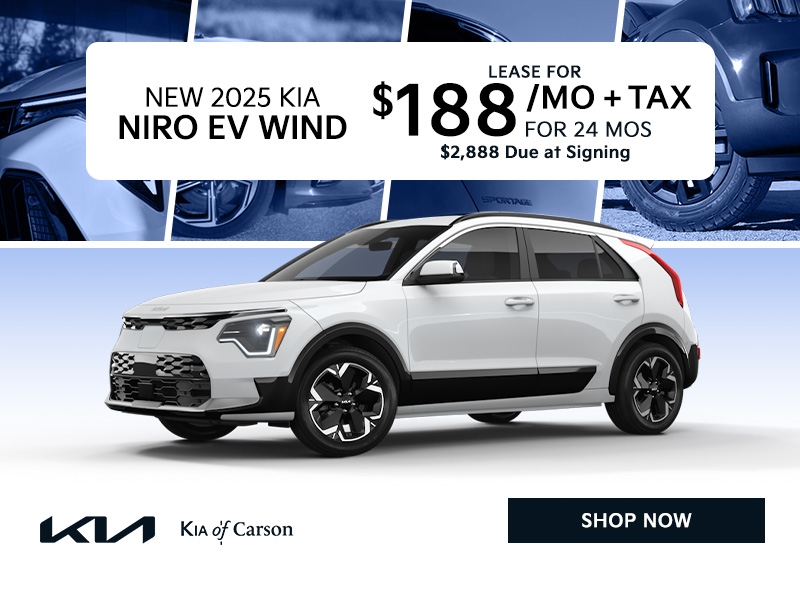 2025 NIRO EV WIND