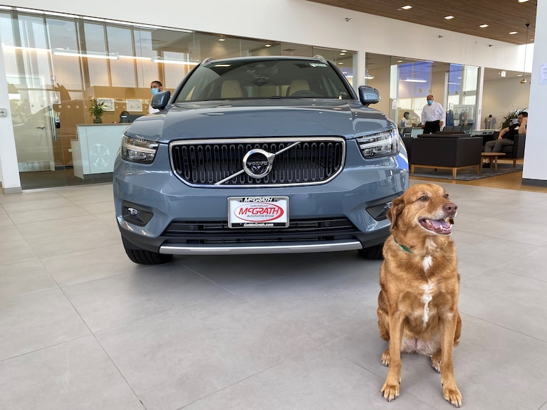 McGrath Volvo Cars Barrington Barrington IL | Dog Friendly