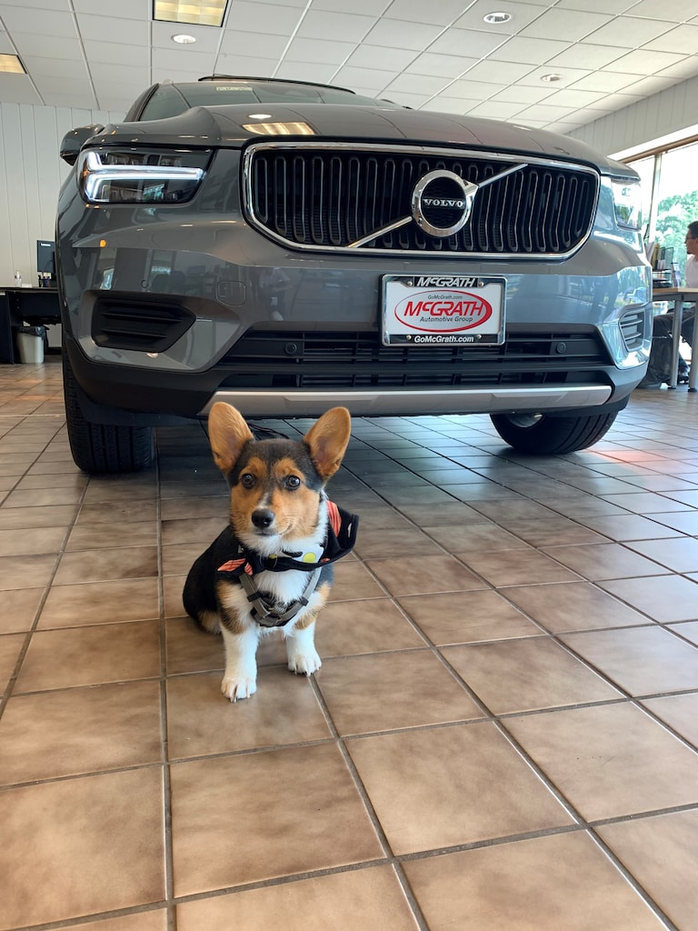 McGrath Volvo Cars Barrington Barrington IL | Dog Friendly