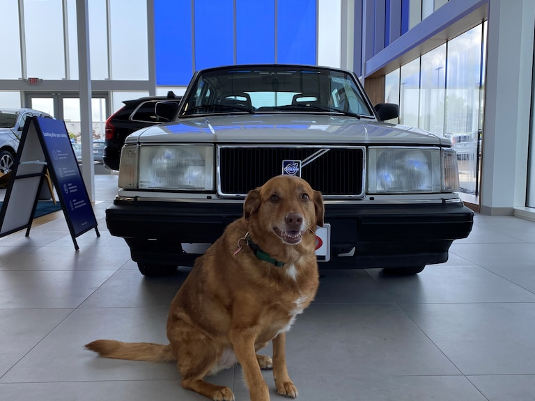 McGrath Volvo Cars Barrington Barrington IL | Dog Friendly