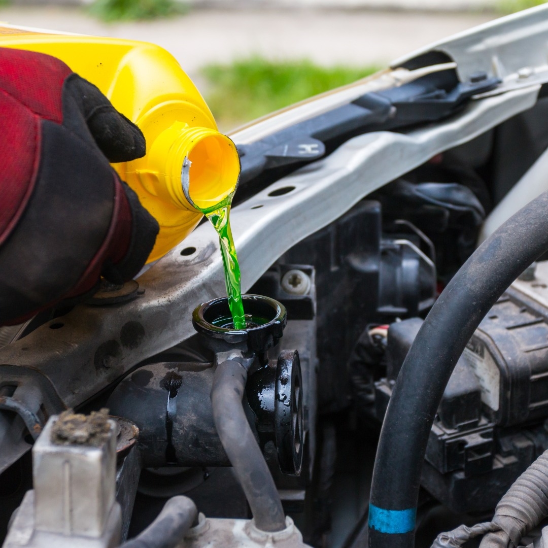 Honda Engine Coolant Change Near Tampa, FL