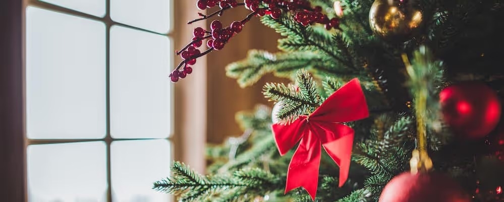 Holiday Detail Special