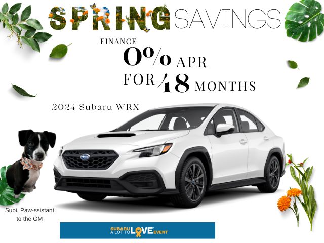 2024 Subaru WRX
