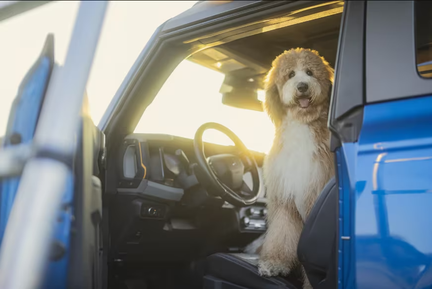 Bob Allen Ford Overland Park KS