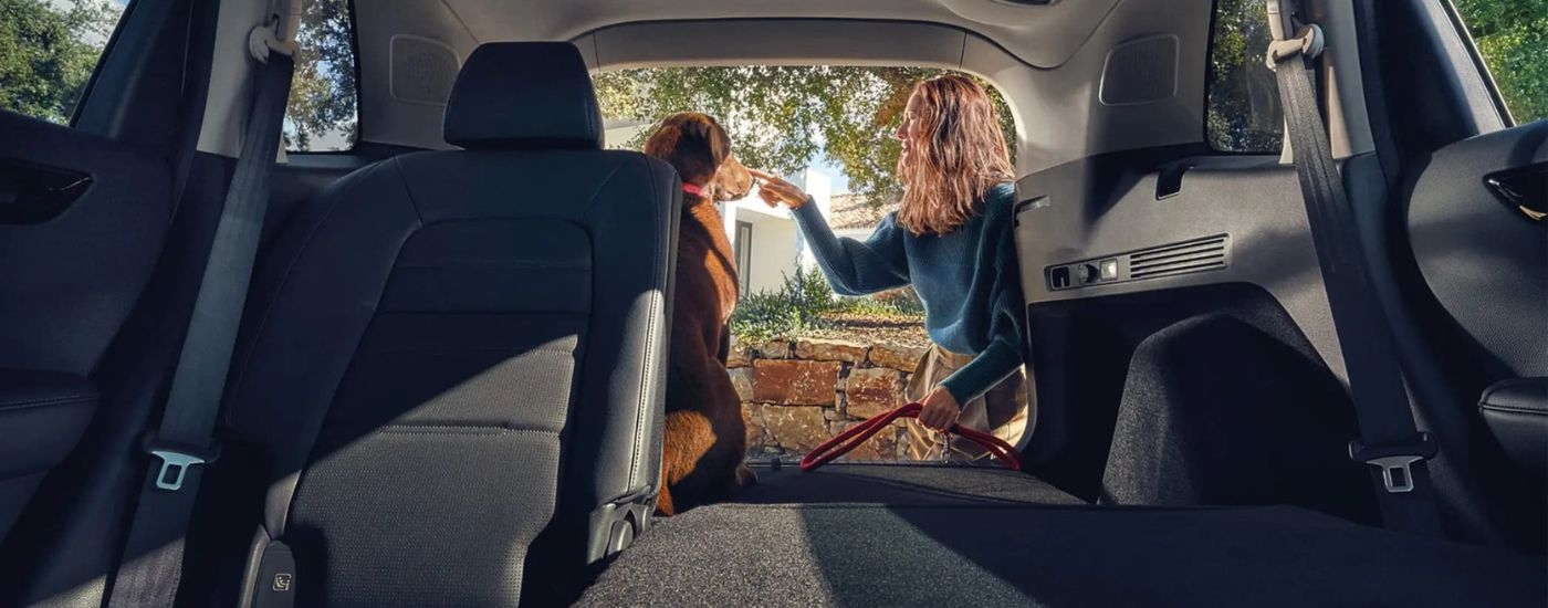 A person and a dog are shown in the rear of a 2025 Honda CR-V Hybrid.