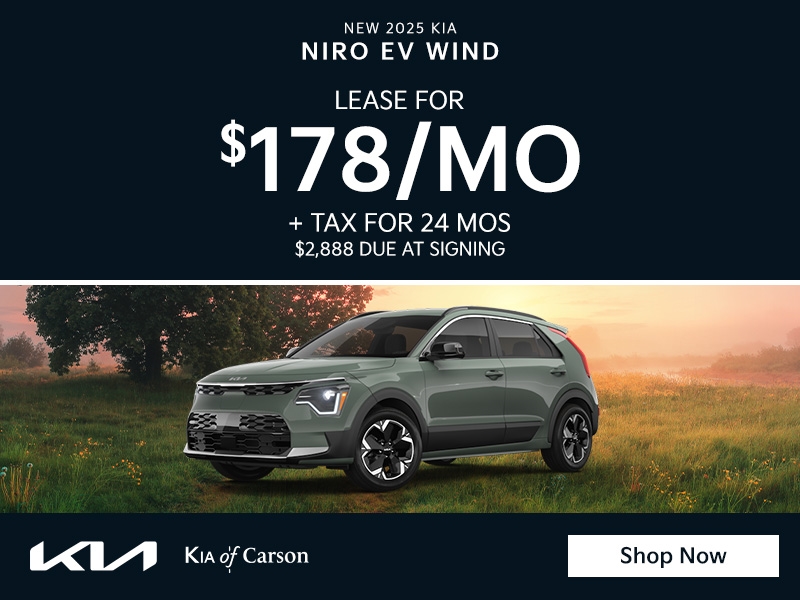 2025 NIRO EV WIND