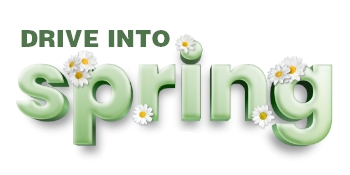 Drive Into Spring