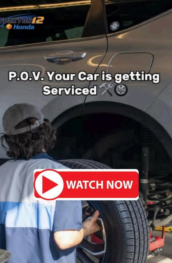 Behind the Scenes: Your Car in Service