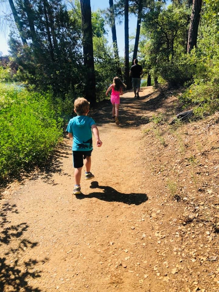 hiking trail at lynx lake loop on nice sunny day in prescott arizona