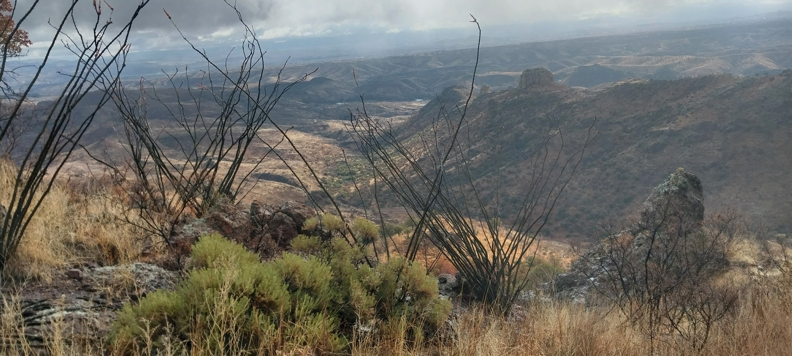 overlook at thumb butte trail in prescott arizona