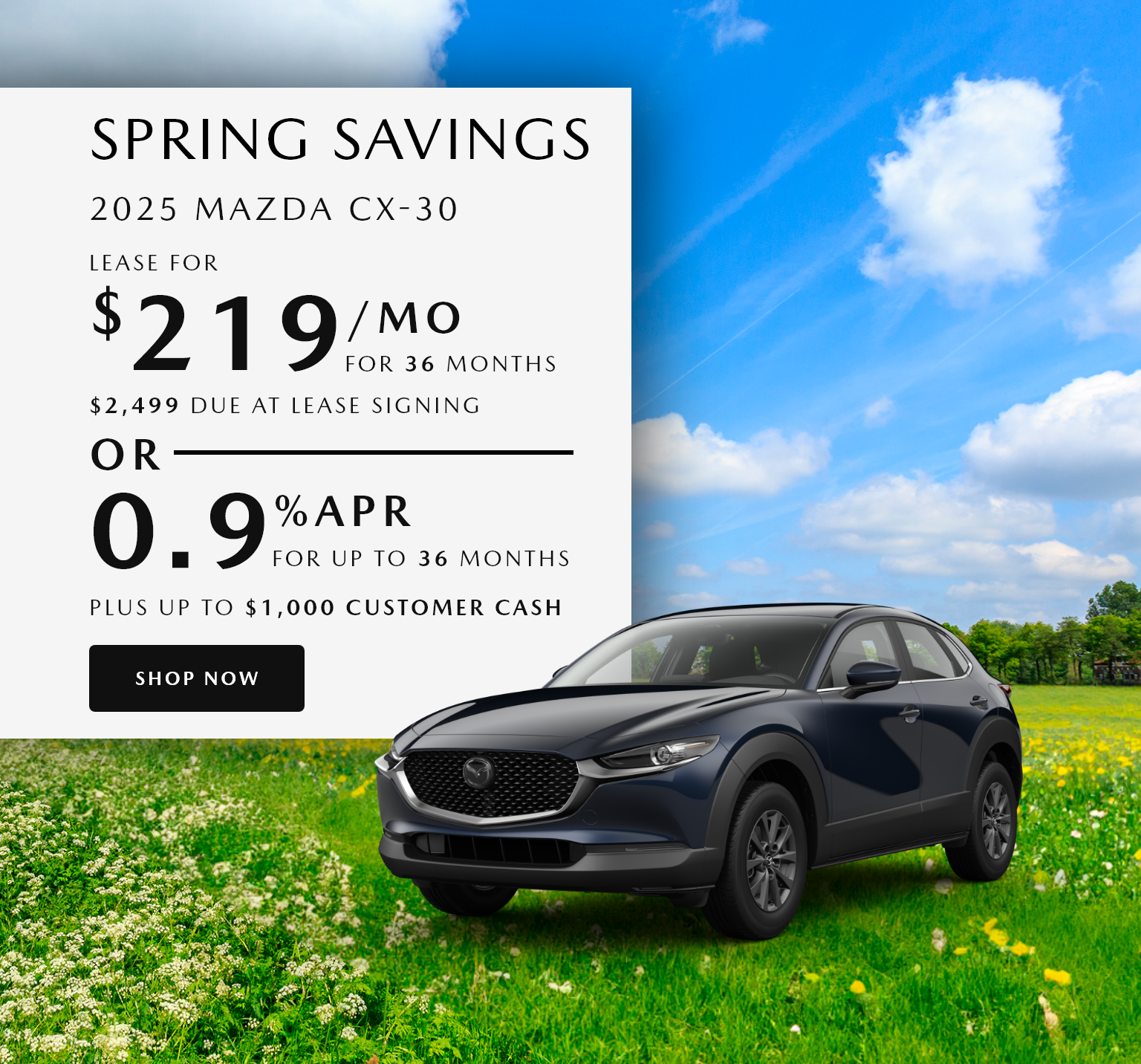 CX-30