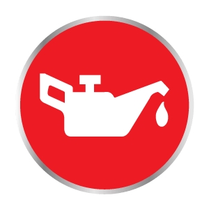 Oil & Filter Change 