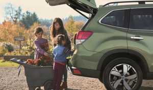 Lynnes Subaru Bloomfield NJ