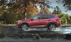 Lynnes Subaru Bloomfield NJ
