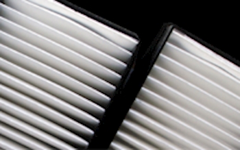 Engine or Cabin Air Filter